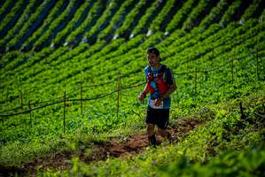 BIB: 
                            <button type="button" onclick="openModal(19161038)" class="btn btn-primary btn-sm float-right btn-popup" data-toggle="modal" data-target=".modal-high-quality">
                        <i class="fas fa-shopping-cart"></i> Add to Cart
                    </button>
                                            <button type="button" onclick="isThisMe(19161038, true)" class="btn btn-success btn-sm float-right btn-popup btn-isme hidden" data-toggle="tooltip" data-placement="bottom" title="นี่คือรูปของคุณใช่ไหม คลิกที่นี่เพื่อเอาเข้าอัลบั้ม">
                        <i class="fas fa-plus"></i> Add to album
                    </button>
                    <button type="button" onclick="isThisMe(19161038, false)" class="btn btn-warning btn-sm float-right btn-popup btn-isnotme hidden">
                        <i class="fas fa-ban"></i> Remove from album
                    </button>